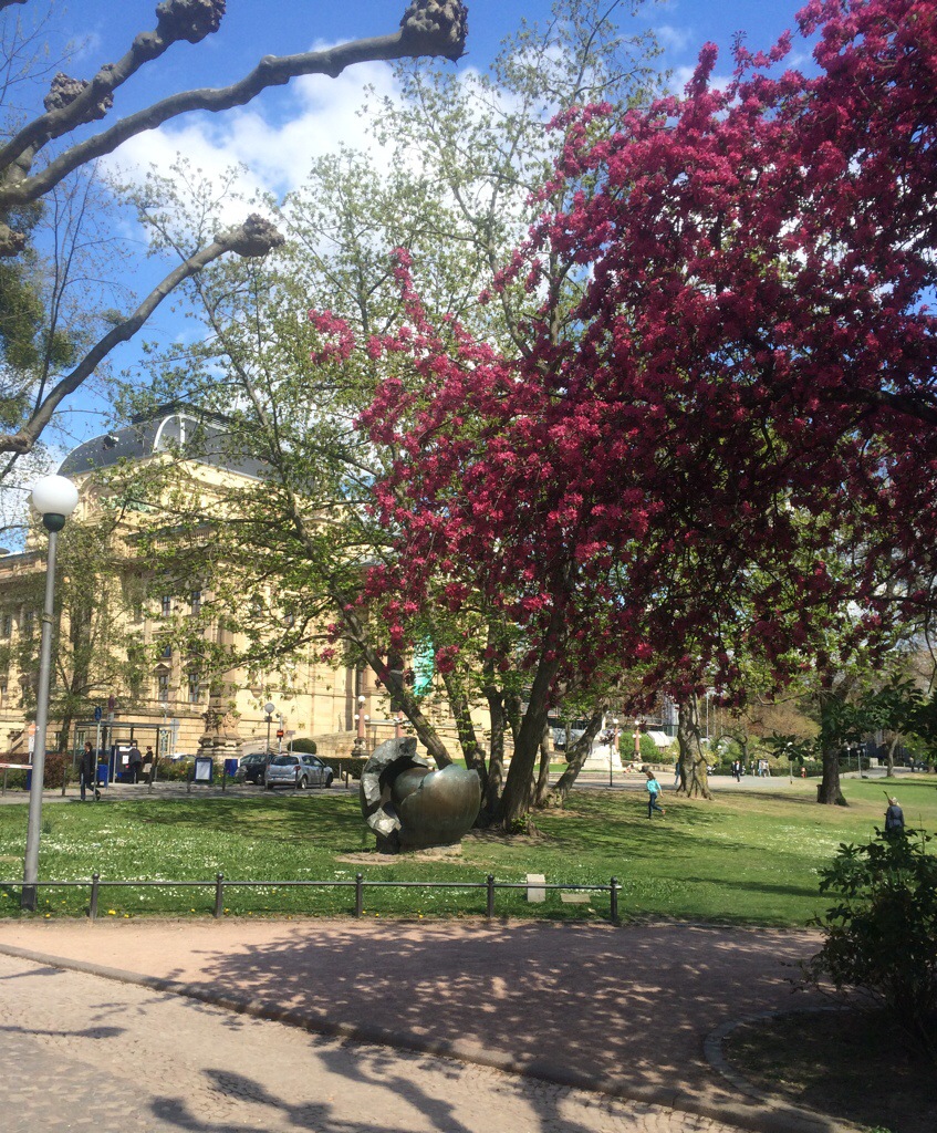 Blühende Bäume am Staatstheater Wiesbaden