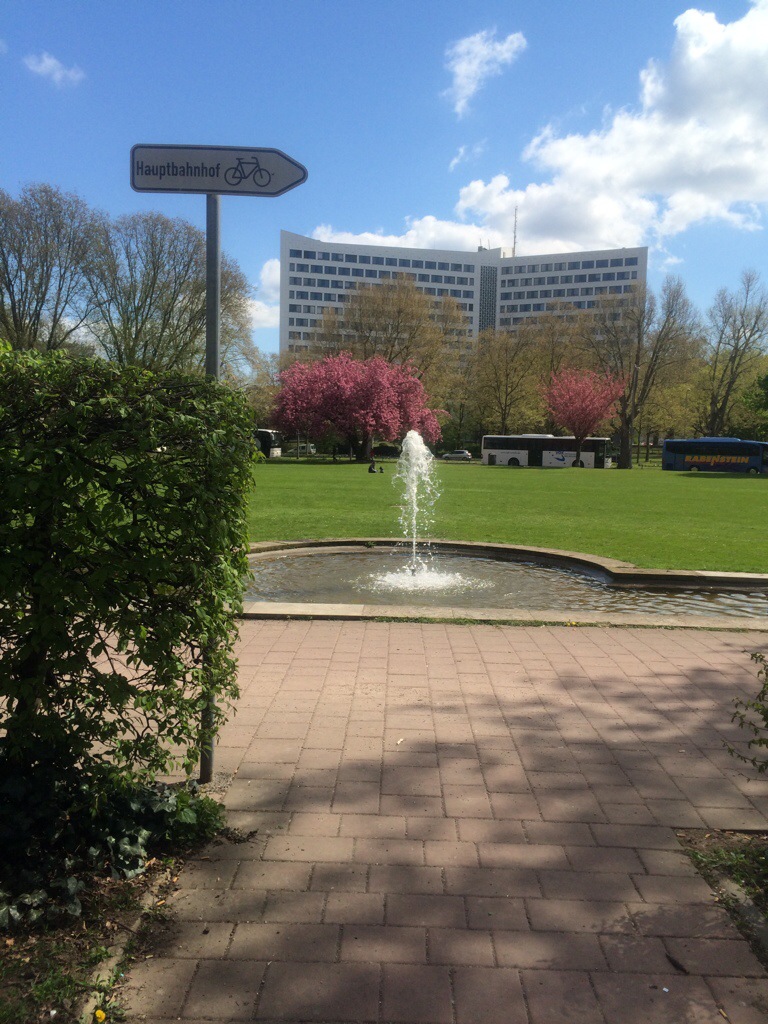 Blühende Bäume und Fontäne an den Reisinger Anlagen Wiesbaden