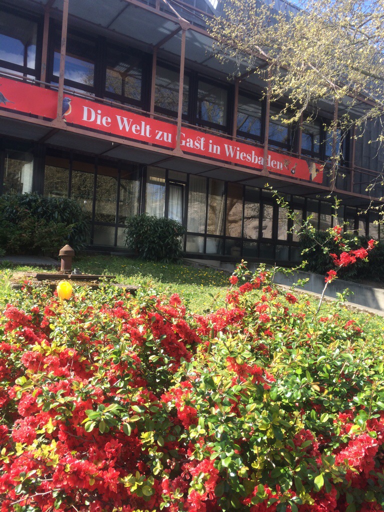 Blüten an der Rückseite des Staatstheaters Wiesbaden 