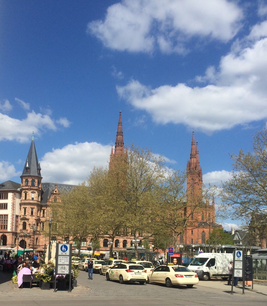 Bäume am Dernschen Gelände Wiesbaden 