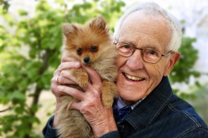 Dr. Rolf Spangenberg ist in den Ruhestand gegangen. Er schreibt weiterhin eine Kolumne bei my-pet. Foto: WZF/Spangenberg